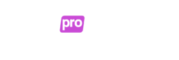project name 29